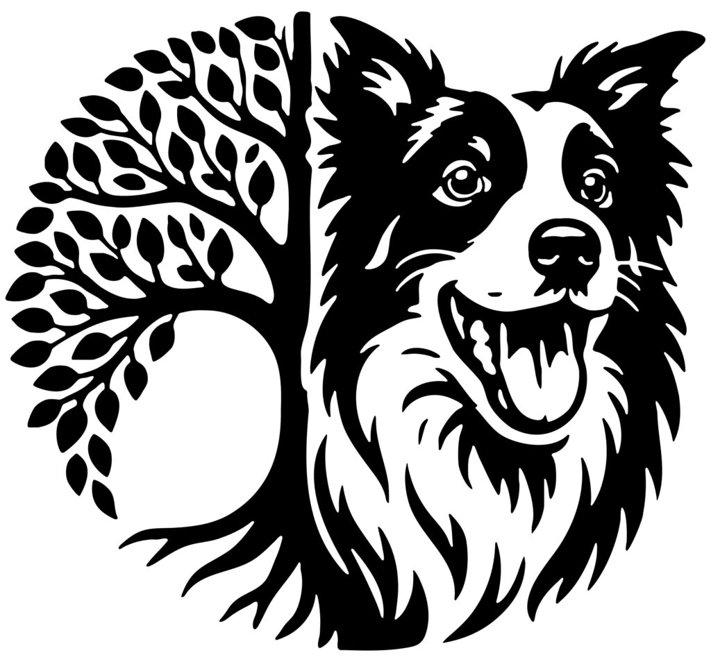 Bordercollie Therapydogs